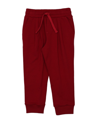 Dolce & Gabbana Babies' Pants In Maroon