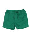 Dolce & Gabbana Kids' Shorts & Bermuda Shorts In Green