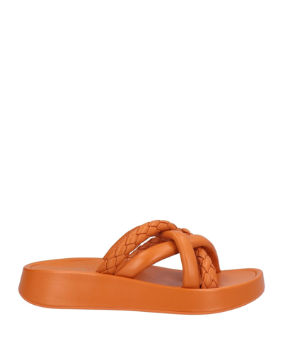 Ash Sandals In Orange