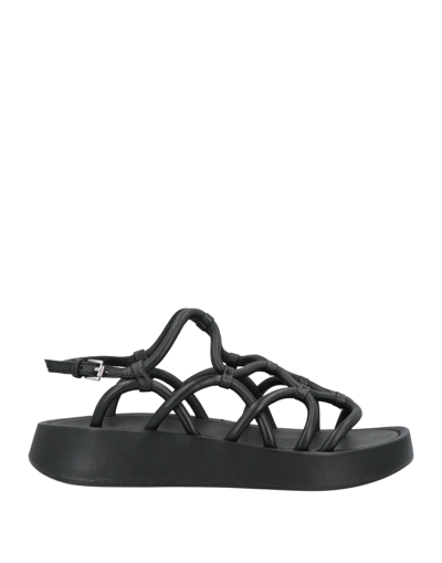 Ash Sandals In Black