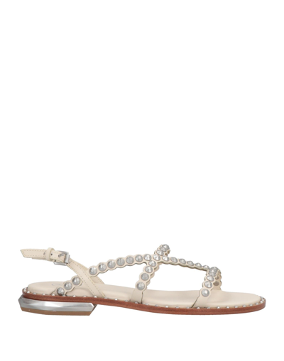 Ash Sandals In White
