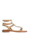 Ash Sandals In Beige