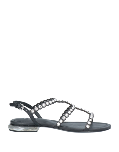 Ash Flat Sandals In Black