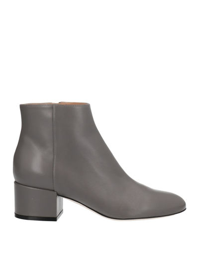 Sergio Rossi Ankle Boots In Grey