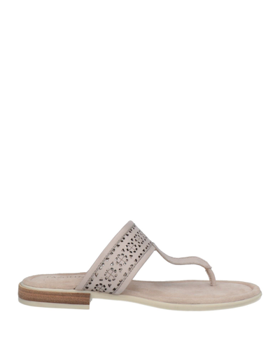 Carlo Pazolini Toe Strap Sandals In Beige