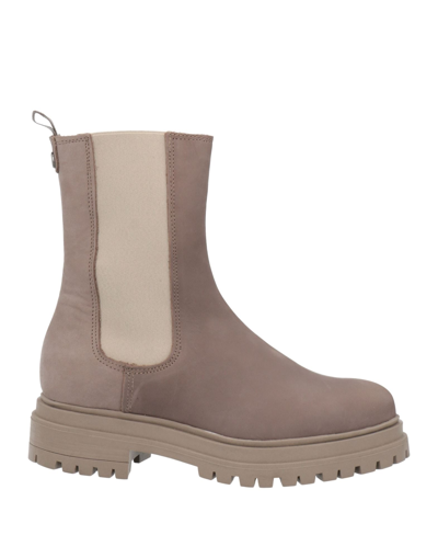 Goosecraft Ankle Boots In Grey