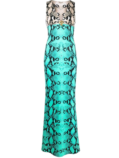Roberto Cavalli Two-tone Snakeskin-print Maxi Dress In Multicolor