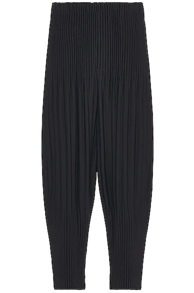 Issey Miyake Basics Relaxed Pant In Blue