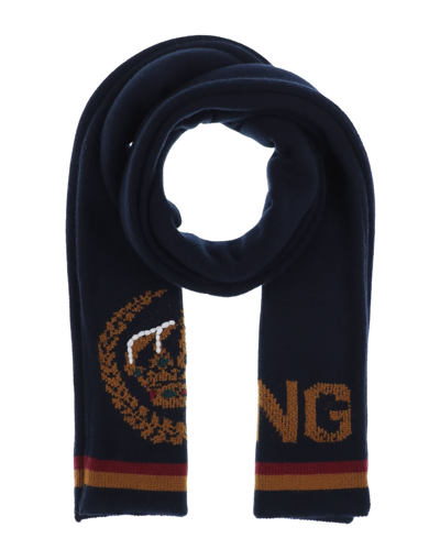 Dolce & Gabbana Scarves In Blue