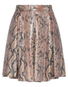 Betty Blue Mini Skirts In Brown