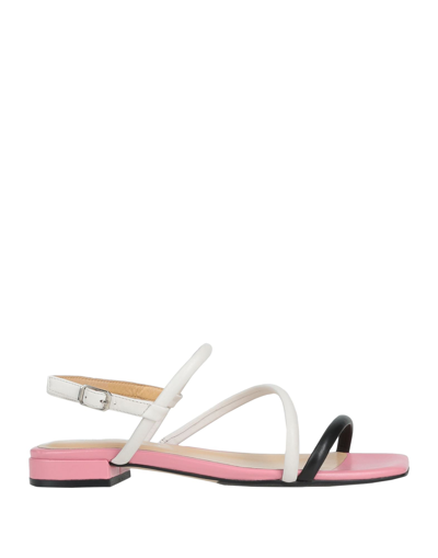 Apepazza Sandals In Black