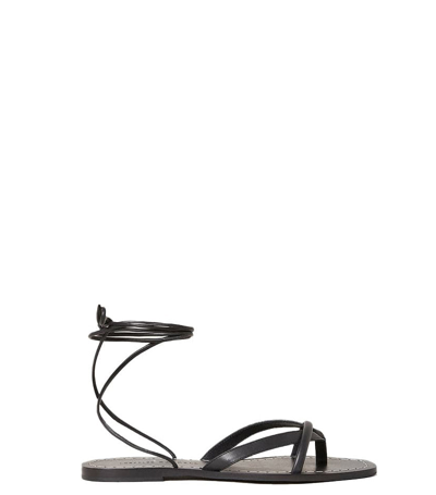 Loeffler Randall Women's Lilla Ankle Tie Sandals In Black
