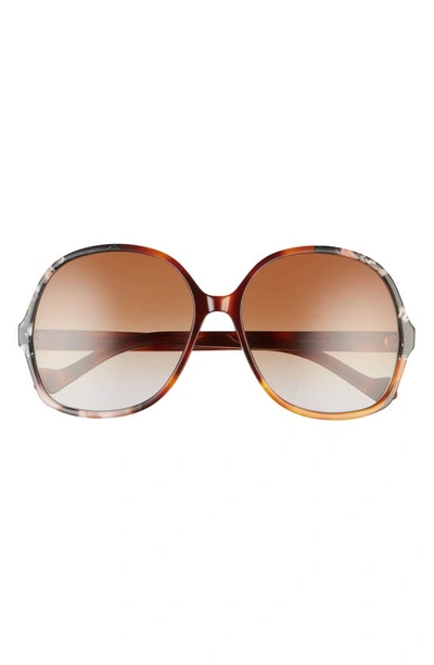 Loewe 61mm Gradient Round Sunglasses In Light Havana/ Brown Grey