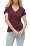 Michael Stars Niki V-neck Cotton T-shirt In Plum