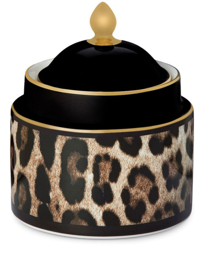 Dolce & Gabbana Leopard-print Porcelain Sugar Bowl In Black