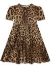 Dolce & Gabbana Leopard-print Chiffon Midi Dress In Brown