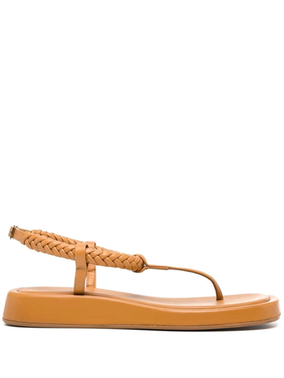 Gia Borghini X Rosie Huntington-whiteley 3 Flat Thong Sandals In Brown