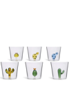 Ichendorf Milano Desert Plants Set-of-six Tumblers In White
