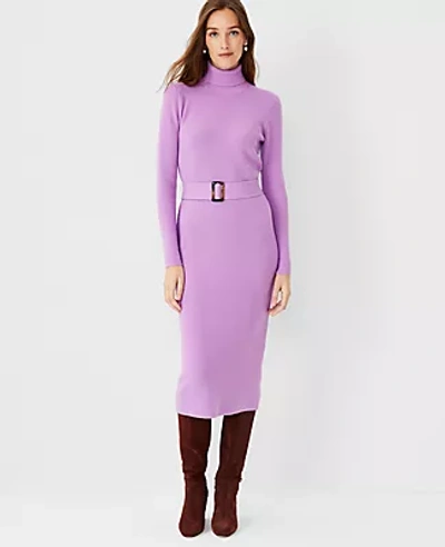 Ann Taylor Belted Turtleneck Sweater Dress In Summer Orchid