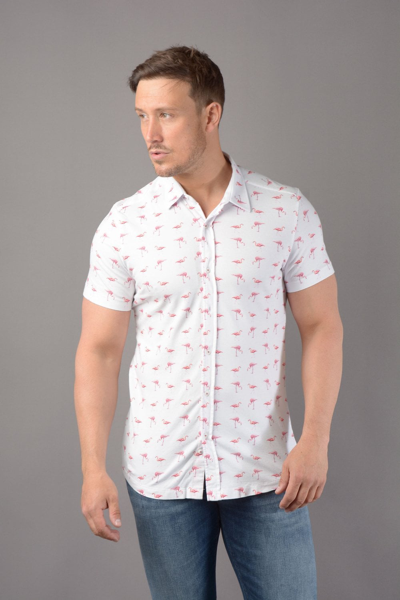 Guide London Flamboyant Flamingo Print Men's Shirt In Blue