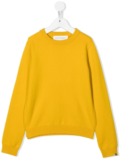 Extreme Cashmere Ribbed-knit Long-sleeved Jumper In Yellow