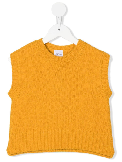 Aspesi Kids' Crew-neck Knitted Top In Giallo