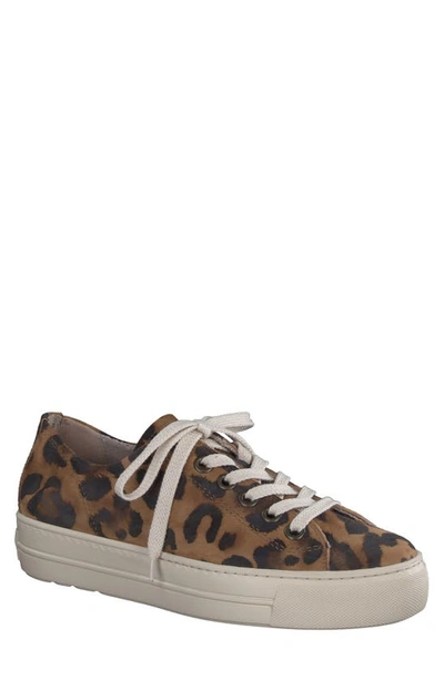 Paul Green Women's Bixby Low Top Platform Trainers In Leopard White Combo