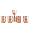 TOM DIXON PLUM SHOT GLASSES GIFT SET