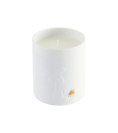 L'objet Mojave Palm Candle In Whi