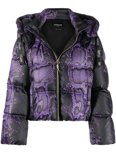 Roberto Cavalli Snake-print Padded Jacket In Purple/black