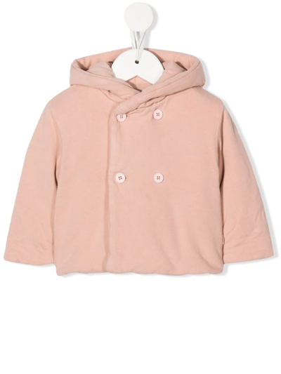 Teddy & Minou Babies' Double-breasted Hooded Jacket In Pink