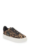 Kurt Geiger Laney Eye Crystal-embellished Leopard-print Woven Low-top Trainers In Mid Brown