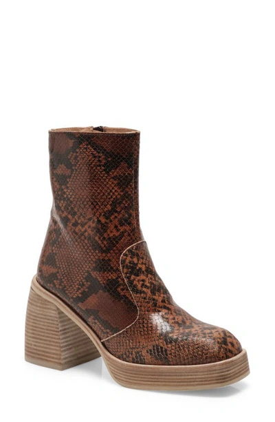 Free People Ruby Shine Platform Boot In Brown Snake