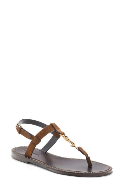 Saint Laurent Leather Ysl T-strap Thong Sandals In Brown