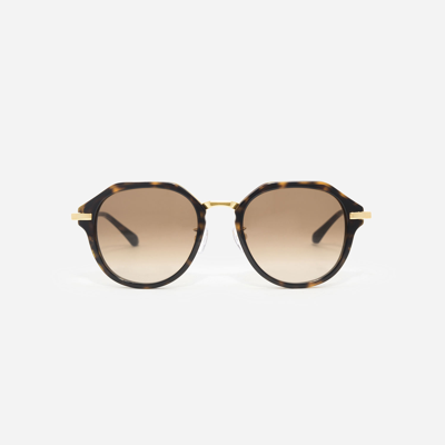 Charles & Keith Angular Oval Sunglasses In T. Shell