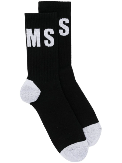 Msgm Ribbed Socks With Logo From  In Black