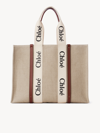 Chloé Woody Bag In Multicolore
