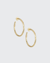 Ippolita 18k Gold Hoop Earrings In Yellow Gold