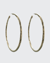 Ippolita Hoop Earrings In Yellow Gold