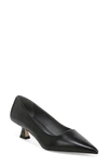 Sarto By Franco Sarto Diva Kitten Heel Pointed Toe Pump In Black