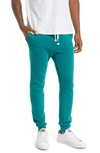 Sol Angeles Essential Coastal Jogger Sweatpants In Forest