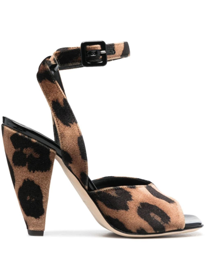 Giuseppe Zanotti 110mm Leopard-print Sandals In Braun