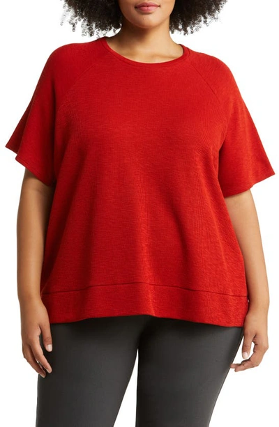 Eileen Fisher Raglan Sleeve Organic Cotton T-shirt In Cinnabar