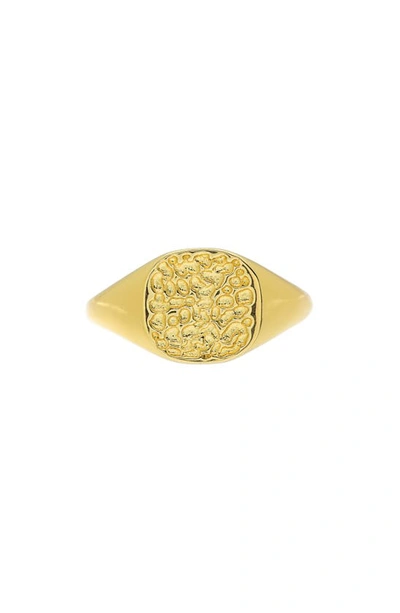 Sterling Forever 14k Gold Plated Hammered Signet Ring