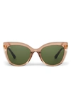 Toms Sophia 53mm Cat Eye Sunglasses In Rust Crystal/ Bottle Green