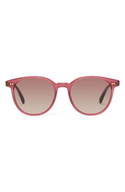 Toms Bellini 52mm Gradient Round Sunglasses In Milky Fuchsia/ Brown Gradient