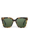 Toms Natasha 53mm Polarized Square Sunglasses In Tortoise/ Bottle Green Polar
