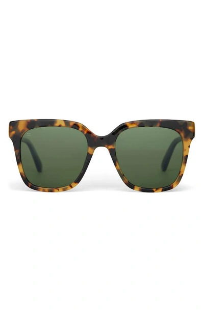 Toms Natasha 53mm Polarized Square Sunglasses In Tortoise/ Bottle Green Polar