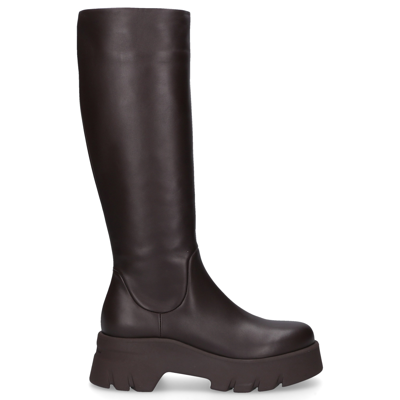 Gianvito Rossi Woman Boot Dark Brown Size 8 Calfskin