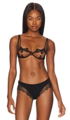 Bluebella Nova Underwire Open Cup Bra In Black
